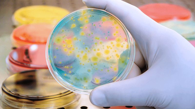医用实验室耗材质量检测方法：关键环节与标准解读