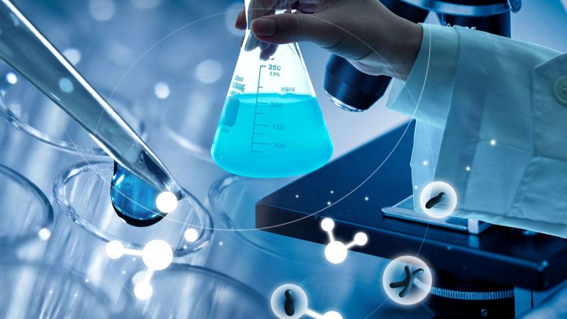 引言：引物在分子生物学研究中的重要性
