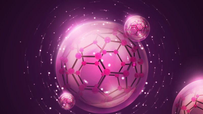 ELISA试剂盒：揭秘性价比背后的秘密