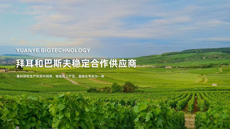 上海诊断用生物试剂：揭秘其研发与质量控制**