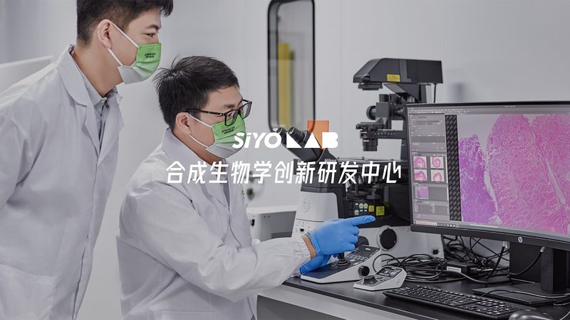 细胞培养基规格参数：揭秘细胞培养背后的关键因素**