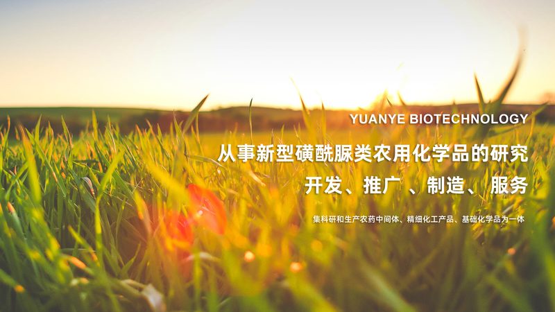 小标题：PCR检测标本的时效性至关重要