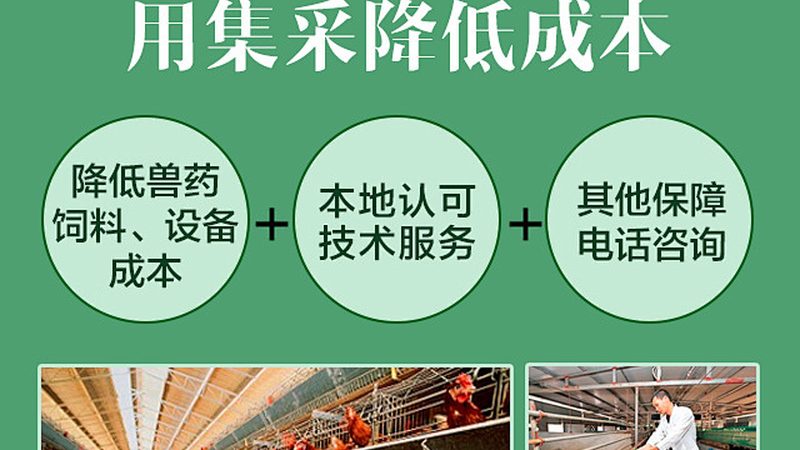 食品级酶原料的“生命之源”：揭秘其来源与质量标准**