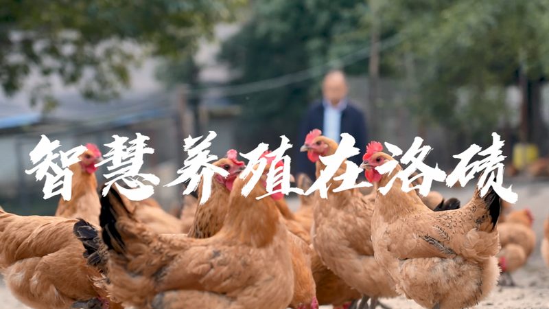 国产移液器量程规格揭秘：如何选择适合自己的型号？**
