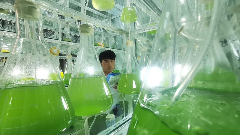 生物实验室耗材采购：如何确保品质与合规**